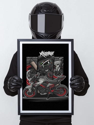 Z900.jpg